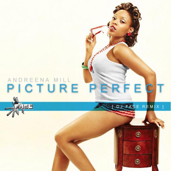 Picture Perfect Fase Remix Cover